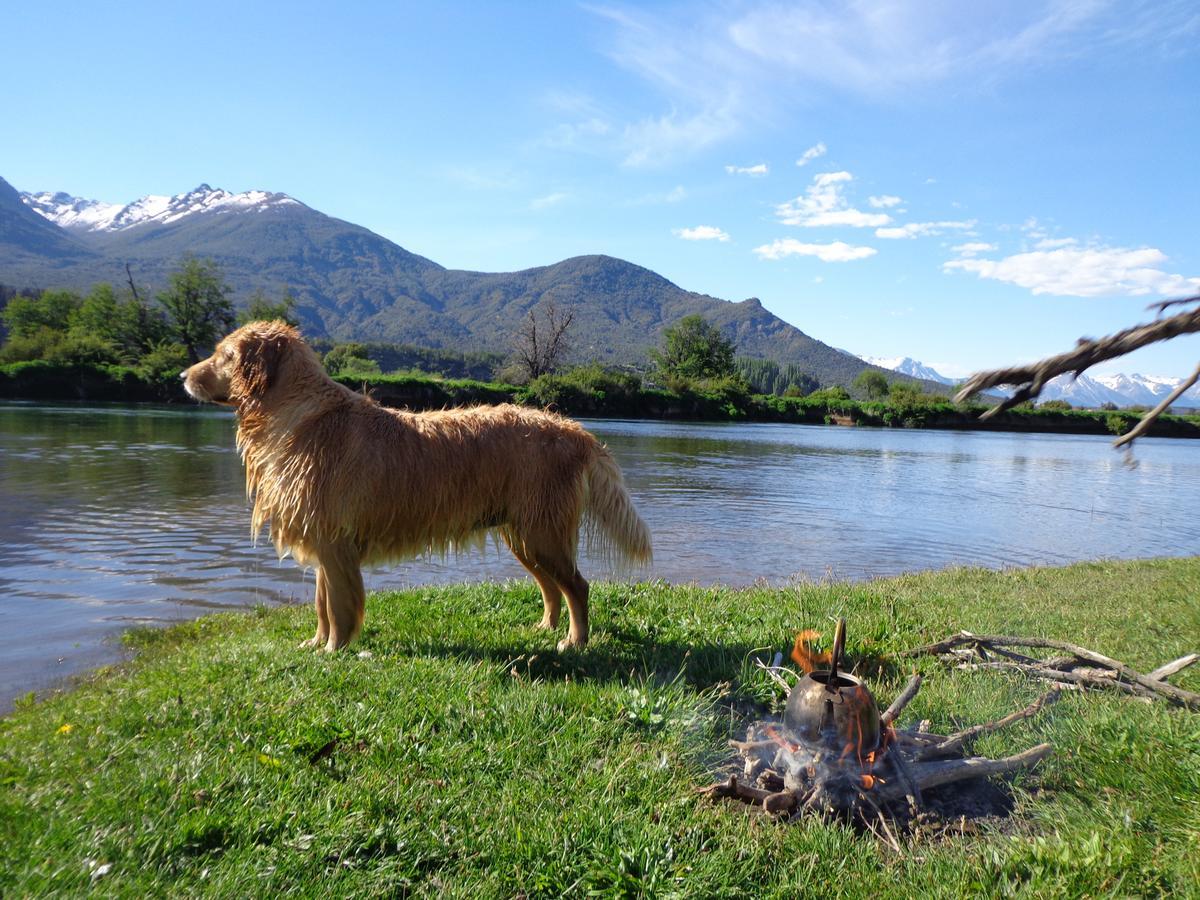 Valle Del Carrileufu Villa Cholila ภายนอก รูปภาพ